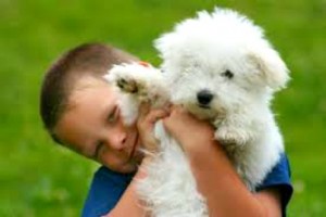 Pets and autistic children