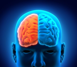 Right Brain Hemisphere Aids Stroke Recovery